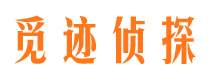 武鸣调查取证